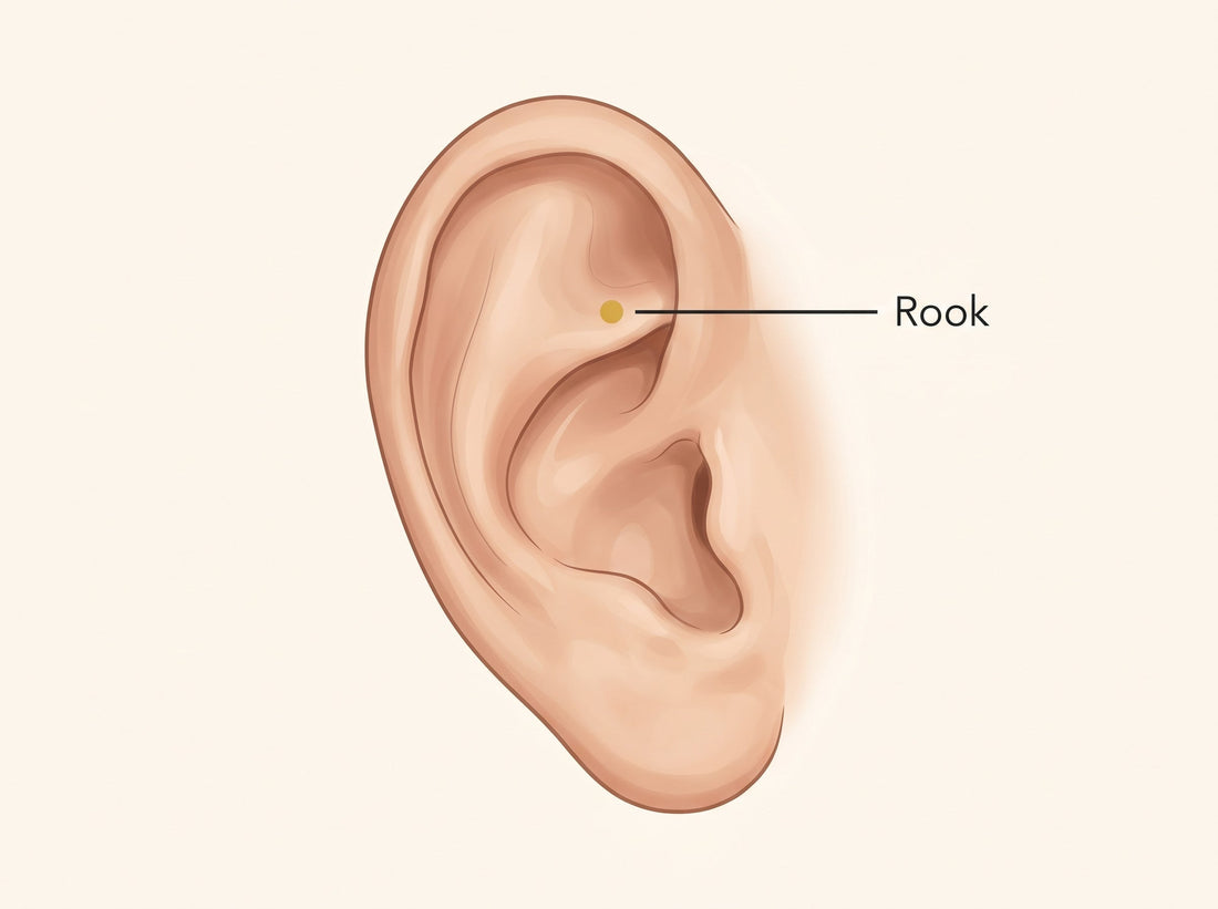Rook Piercing Guide