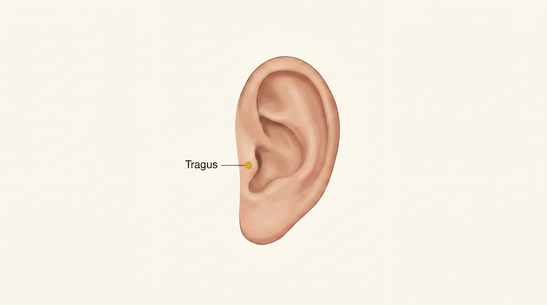 Tragus Piercing Guide
