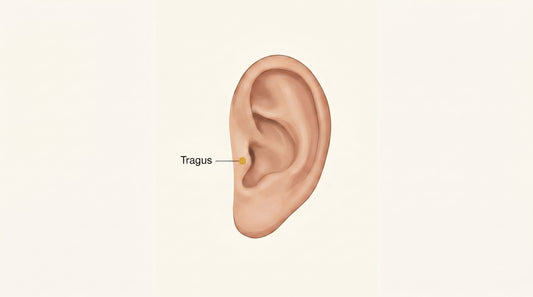 Tragus Piercing Guide