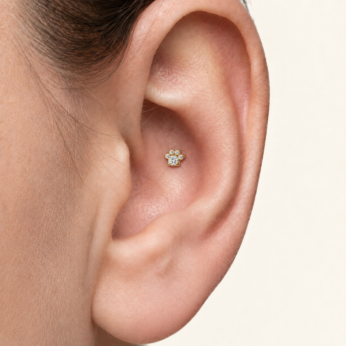 Illustration of TISTELLA Paw gold earring in a healed conch piercing