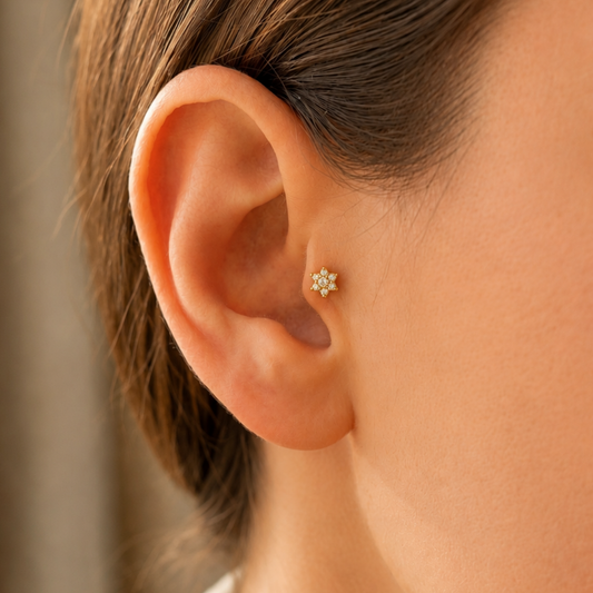 Illustration of TISTELLA Stellara earring in a healed tragus piercing