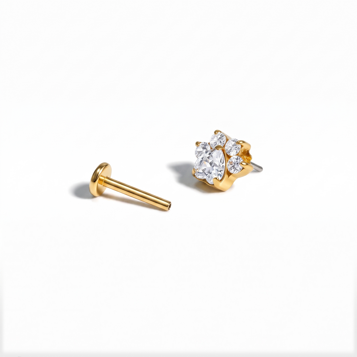 Paw | Titanium Flat Back Earrings